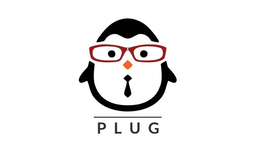 Plug