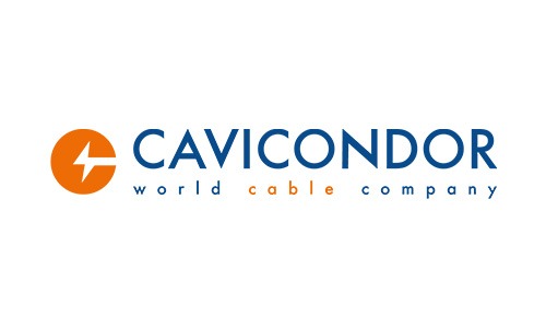 Cavicondor